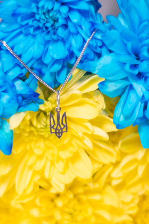 Ukrainian symbol trident on the background of blue and yellow chrysanthemums. War in Ukraine 2022. State coat of arms of Ukraine. Symbol of Ukraineの写真素材