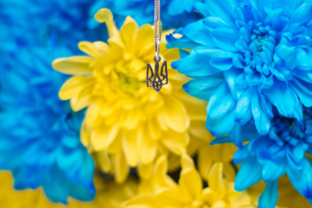 Ukrainian symbol trident on the background of blue and yellow chrysanthemums. War in Ukraine 2022. State coat of arms of Ukraine. Symbol of Ukraineの写真素材
