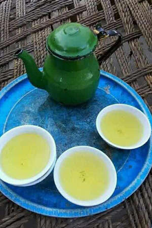 This is image of green teaの写真素材
