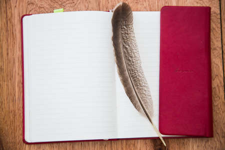 blank notebook with  Feather  on wooden tableの写真素材