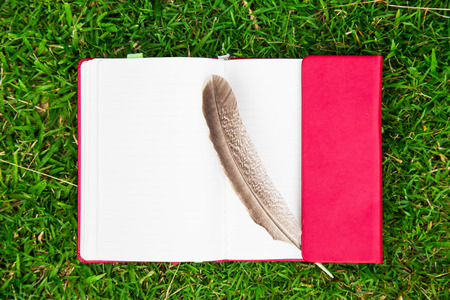 red notebook with brown Feather  on green fieldの写真素材