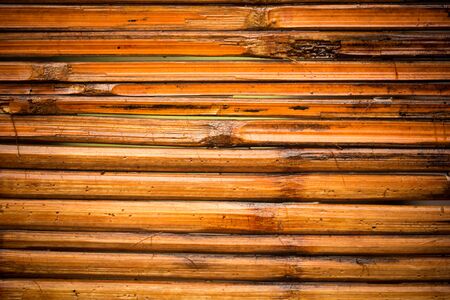 Bamboo background. Closeup,textureの写真素材