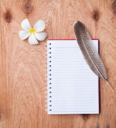 blank notebook with brown Feather  and white flower on wooden tableの写真素材