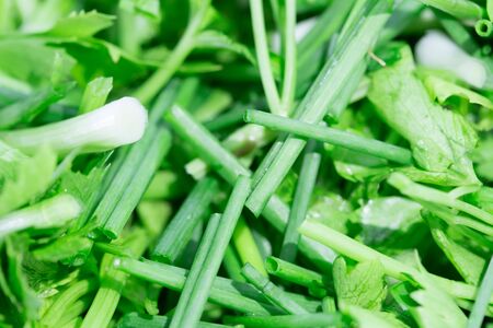 fresh Green onion texture , backgroundの写真素材