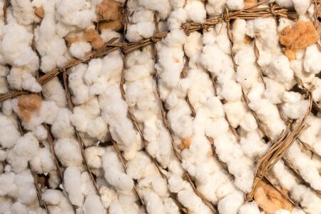 piece  of cotton , background , textureの写真素材