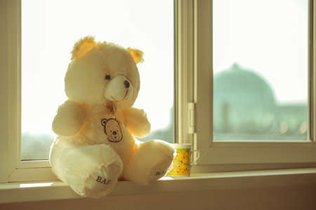 yellow, soft toy bear sits by the window under daylight and tea mug