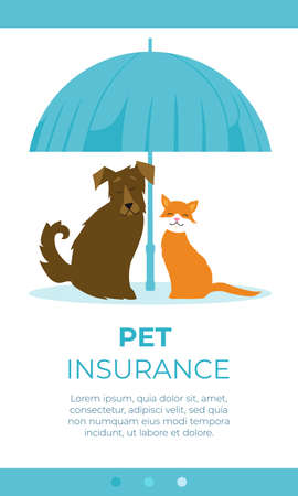 Pet fnd Animal insurance concept. Vector illustration. Dog and cat under an umbrella.のイラスト素材