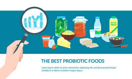 The Best Probiotic Foods. Banner template. Vector illustration.のイラスト素材