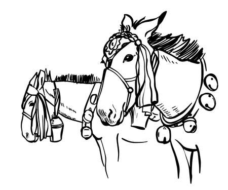 Vector drawing of beautiful mules in Nepal. Vector hand drawn illustration on white background.のイラスト素材