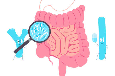 Probiotics concept. Probiotics examine the intestinal microflora. Editable vector illustration.のイラスト素材