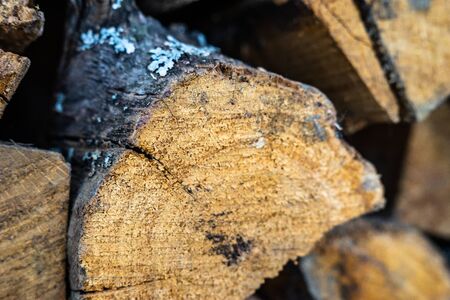 The logs of fire wood sharp macro closeup photo
