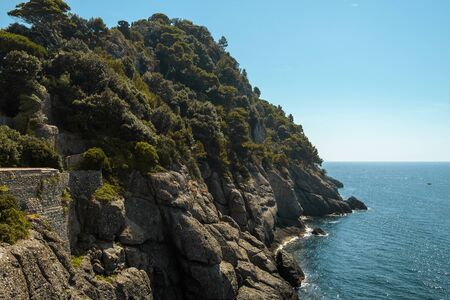 Coastlinie with rock, trees in Mediterranean sea, Italy, Liguria, Portofinoの写真素材