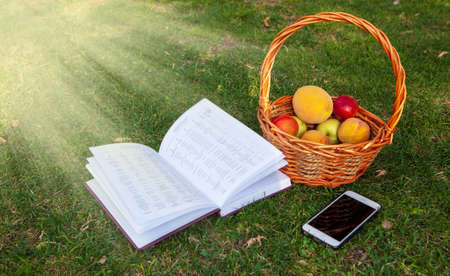books with a basket of fruit lie on the lawnの写真素材
