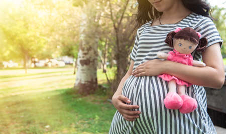 pregnant girl walks in the summer parkの写真素材