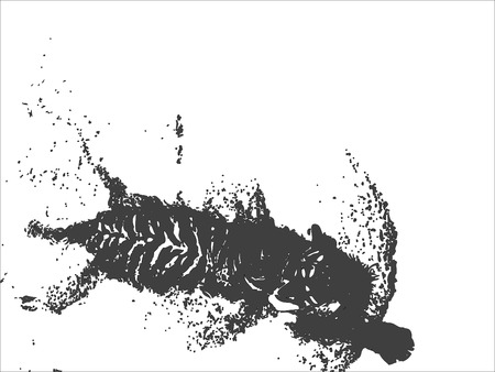 Black tiger on the white backgroundのイラスト素材