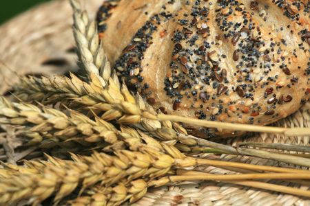 Close up of pastry and cornの写真素材