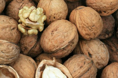 Close up of the walnuts