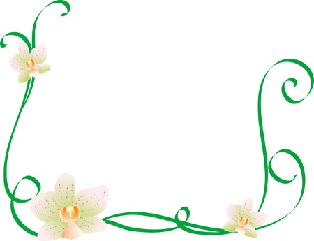 Abstract floral background with orchidのイラスト素材