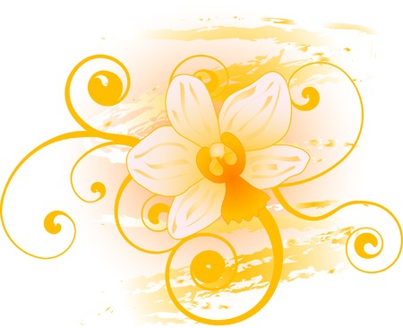 Abstract floral background with orchidのイラスト素材