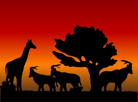 Sunset in safari - vector illustrationのイラスト素材