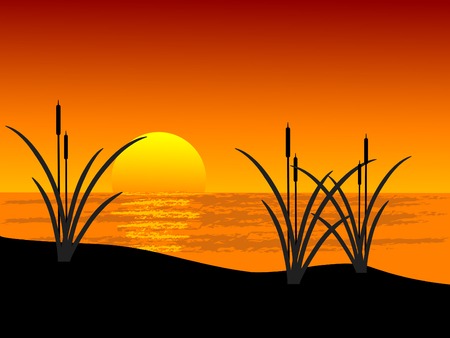 Reed in sunset landscape - vector illustrationのイラスト素材
