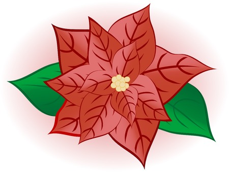 Red christmas flower - vector illustrationのイラスト素材