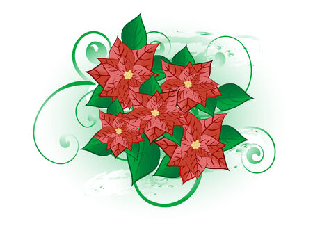 Christmas flower background - vector illustrationのイラスト素材