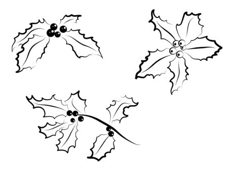 Christmas holly silhouettes -  illustrationのイラスト素材