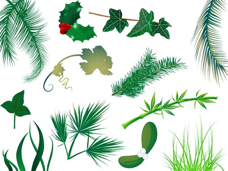 Set of leaves and grassのイラスト素材