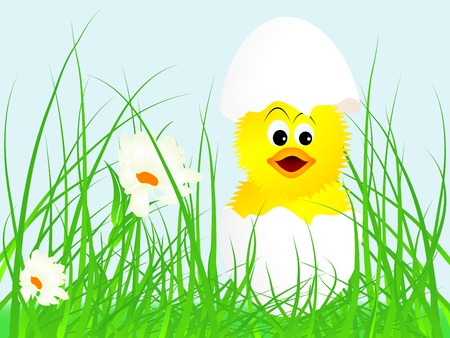 New born chick in eggのイラスト素材