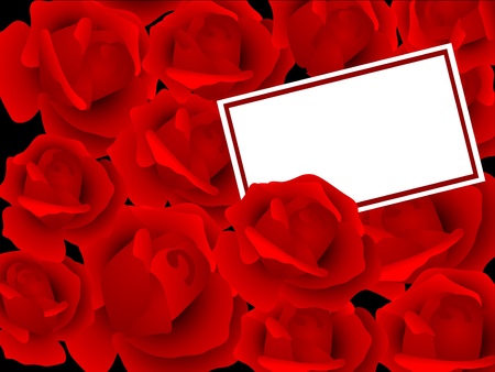 Red rose background with the cardのイラスト素材