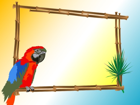Red parrot sitting on a bamboo frameのイラスト素材