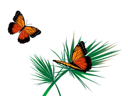 Two orange butterflies on the palm leafのイラスト素材
