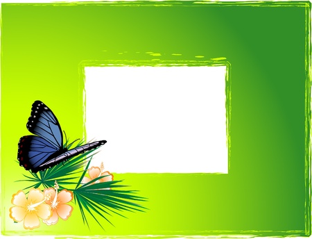 Green background with the blue butterflyのイラスト素材