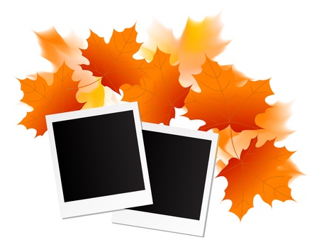 Blank polaroid with autumn leavesのイラスト素材