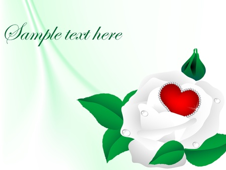 Red diamond heart in white rose bloomのイラスト素材