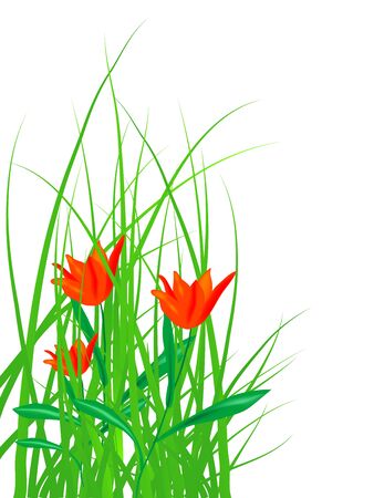 Small red tulips in the grassのイラスト素材