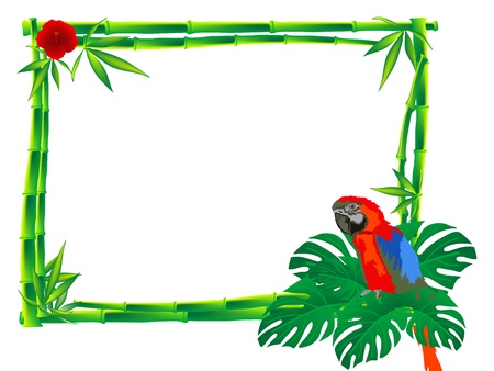 Red parrot sitting on a bamboo frameのイラスト素材