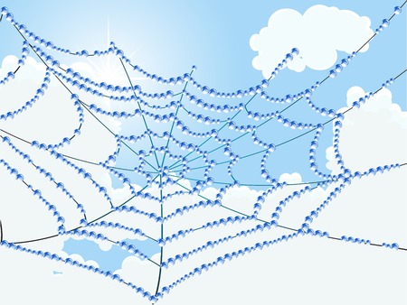Spider web with water drops against cloudy skyのイラスト素材