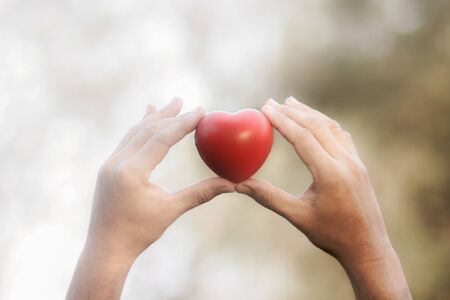 Red heart in the hands of men.