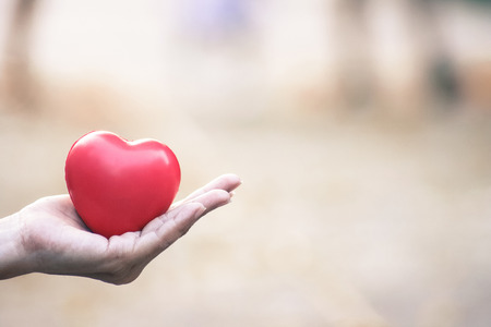Woman holding heart in handの写真素材