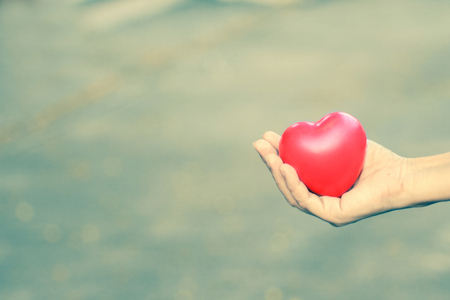 Woman holding heart in handの写真素材