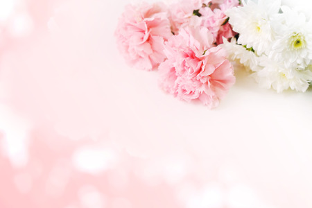 Beautiful flowers on the floor behind the pink.の写真素材