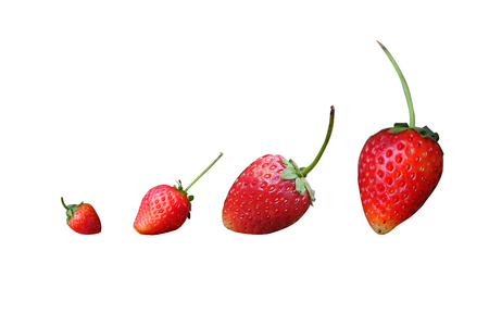 Strawberry have health benefits for weight loss, clipping, path.の写真素材