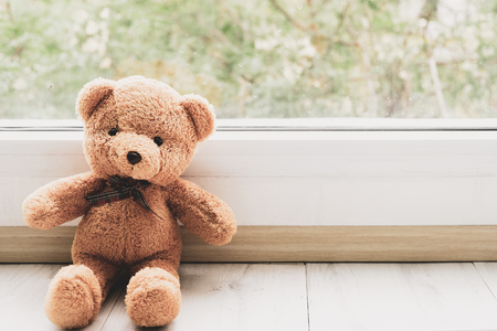 Bear stood looking out the window, do not be sad.の写真素材
