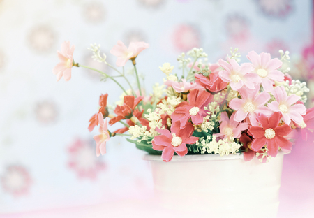 Beautiful flowers, festivals.の写真素材