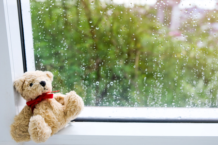 Bear stood looking out the window, do not be sad.の写真素材