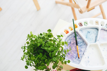 A green tree in a vase, paired with a palette and brushes in the  art classroom.の写真素材