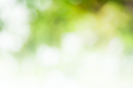 Green background for people who want to use graphics advertising.の写真素材