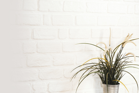 Grass is placed in a steel vase, placed on a white wall. For decoration in various festivals.の写真素材